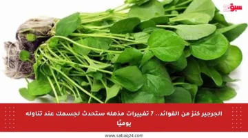 الجرجير كنز من الفوائد.. 7 تغييرات مذهلة ستحدث لجسمك عند تناوله يوميًا